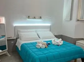 Dedo Suite
