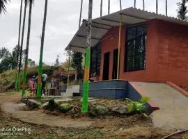 Stream side