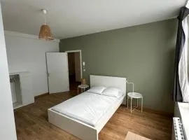 Chambre 25m2, SDB PV, 3 pers, Centre, 160m2, WIFI