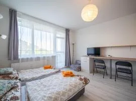 Cozy Studio Apartment