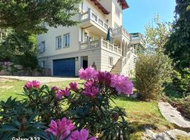 Ferienwohnung Dennstedt, ξενοδοχείο σε Wilkau-Haßlau