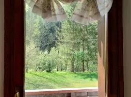 Cozy house and Dolomites view