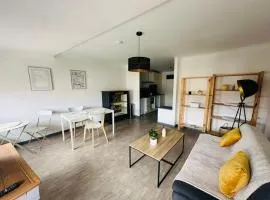 Grand T2 50m2 Narbonne centre, vue sur cathédrale