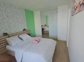 grand appartement 2 pièces en résidence