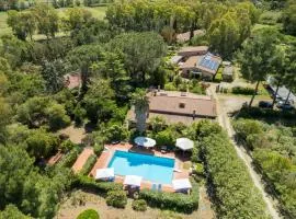 Fattoria dei Piani srl