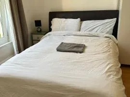 Budget Stay near Singleton Hospital 5