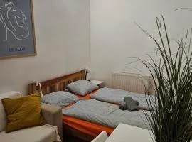 Vibrant City Center Rooms