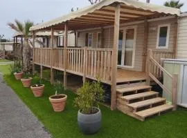 MOBIL HOME Rose