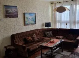Apartman19 Resavica