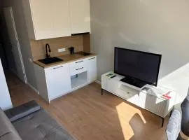 RR Apartments in Algirdo street