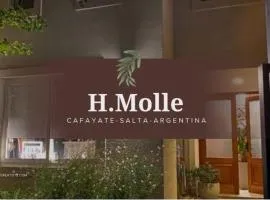 H Molle