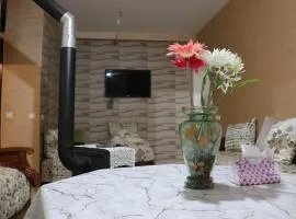 Appartement juste pour les familles