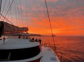 Alion Yacht