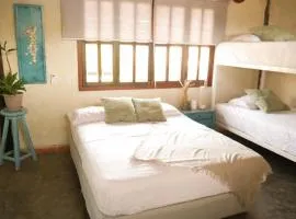 Guacuco Living