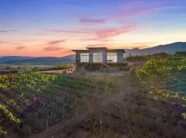 Buena Vista - Valle De Guadalupe