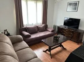Savica Apartment