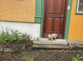 Wohnhaus Münzmühle in Appenzell, βίλα σε Appenzell