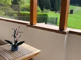 Trilocale Giulia, Andalo