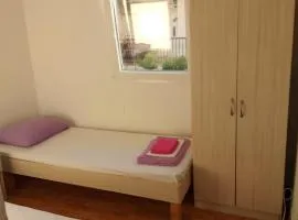 Apartments M1 Pine tree