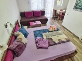 Vila Aleksandra 2 Studio 9