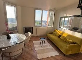 Appartement lumineux et cosy en duplex à 5 min à pied du stade Pierre Mauroy