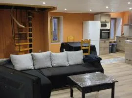 House 20 minutes from Geneva & beaches