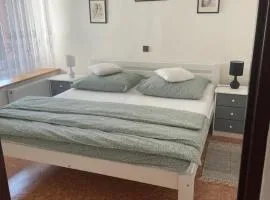 Apartmán u Poustevníka