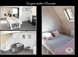 Cozy maison proche des Châteaux de la Loire et du Zoo Beauval