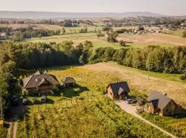 Winnica Nad Źródłem - Domki w winnicy z kominkami i tężniami