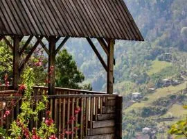 Hill Guesthouse - Wine Cellar, Fish Farm & Organic Cuisine