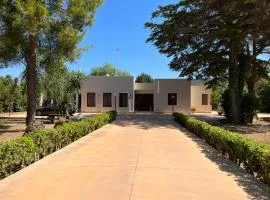 Bed and Breakfast La Taranta