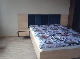 Boguszów