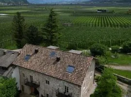 St. Vigilius modern historic apartments
