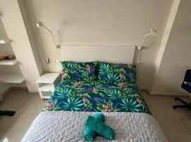 ÁTICO HOME y Garaje, Algemesi Home