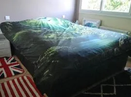 Charmante chambre chez l'habitant