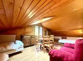 Centrally Located Studio in Morzine Centre