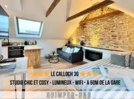 LE CALLOCH 3G - Superbe Studio - Quartier Gare - Wifi - Netflix