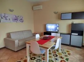 Tassina House