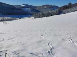gemütliche Dachgeschoss- Ferienwohnung im Grünen, hotell sihtkohas Sundern