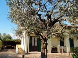 Casa Sandra