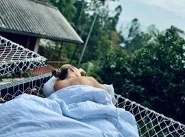New Green View Resort