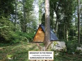 Glamping Zeleni raj Vače