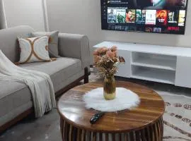 Serene BnB - Apt 06 Makongo after Mlimani City