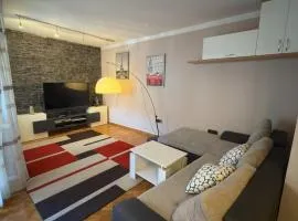 Center Apartment 1 Sisak