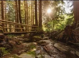 Hidden Creek Hideaway