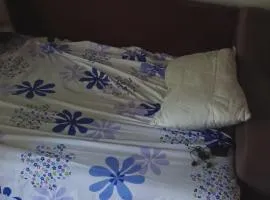 Hostel Darda