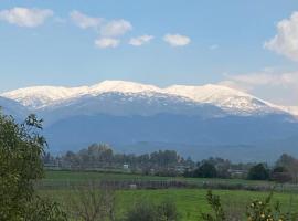 The Roof，卡法百隆的飯店