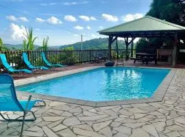 Bel appartement à Ducos avec piscine privée