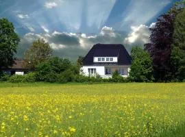 Ruhige Ferienwohnung mit Waldblick