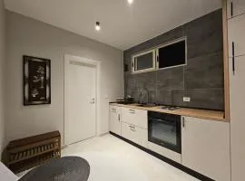 Studio Apartment near Pazari Ri